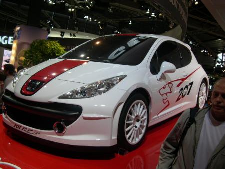 207 cup belle voiture